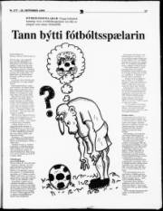 Síða 17