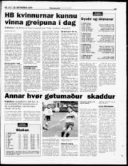 Síða 28