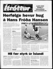 Síða 13