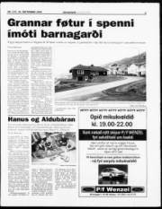 Síða 3