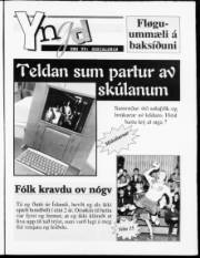 Síða 13