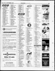 Síða 31