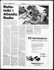 Síða 3