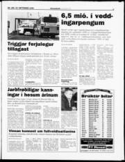 Síða 7