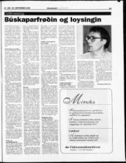 Síða 19