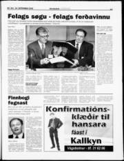 Síða 11