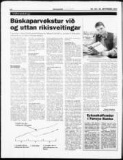 Síða 14
