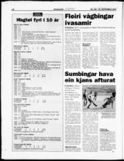 Síða 28