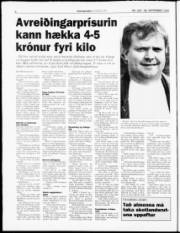 Síða 4