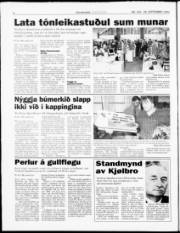Síða 6