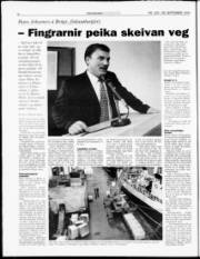 Síða 8