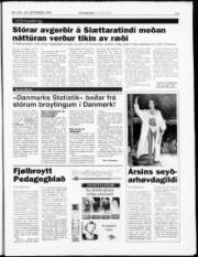 Síða 13