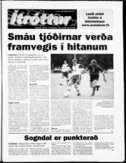 Síða 15