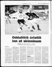 Síða 20