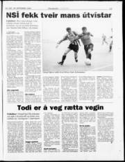 Síða 23