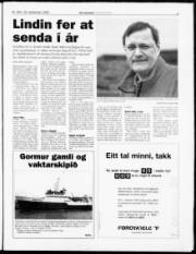 Síða 3