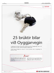 Síða 2
