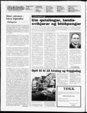 Síða 2
