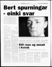 Síða 8