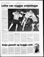 Síða 17