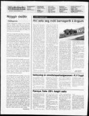 Síða 2