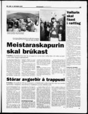 Síða 15