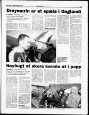 Síða 17