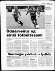 Síða 20
