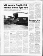 Síða 4