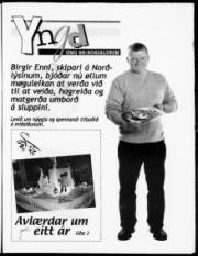 Síða 13