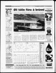 Síða 32