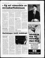 Síða 3