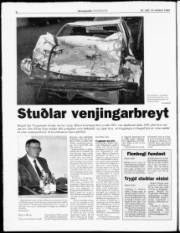 Síða 8