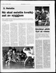 Síða 23