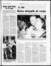 Síða 25