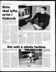 Síða 29