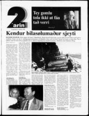 Síða 13
