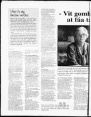 Síða 18