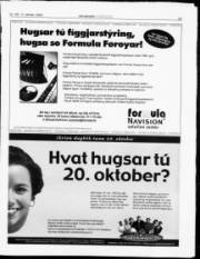 Síða 19