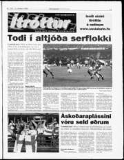 Síða 11