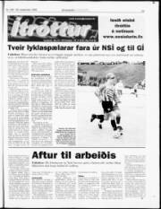 Síða 19