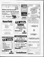 Síða 21