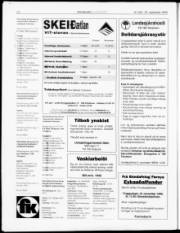 Síða 22
