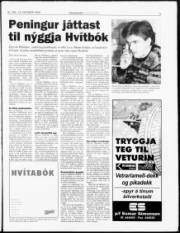 Síða 3