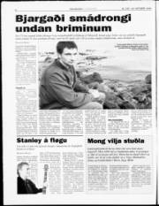 Síða 6