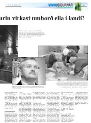 Síða 39