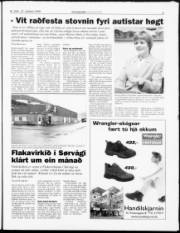 Síða 5