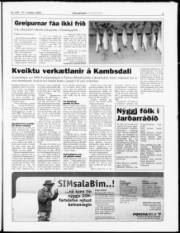 Síða 9