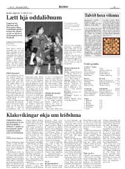 Síða 45