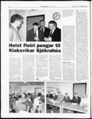 Síða 6